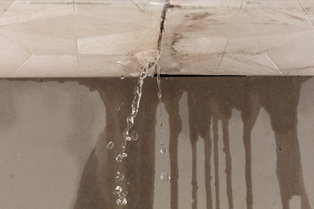 Professional Flood Damage Cleanup technician working in Chatsworth, IL